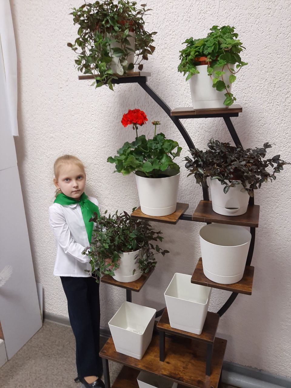 Изображения.